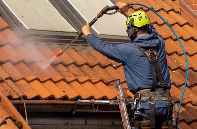 Démoussage et hydrofuge de toiture à Publier